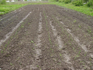 Sell - Delhi photo 1