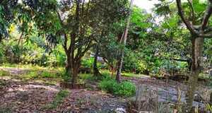 Luxury Residential Lake Side Plot in North Goa - Panaji photo 1