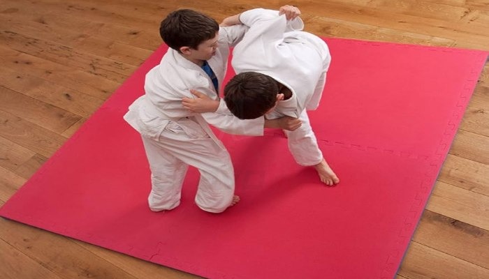 Premium Quality Martial Arts Mats | Gravolite photo 1