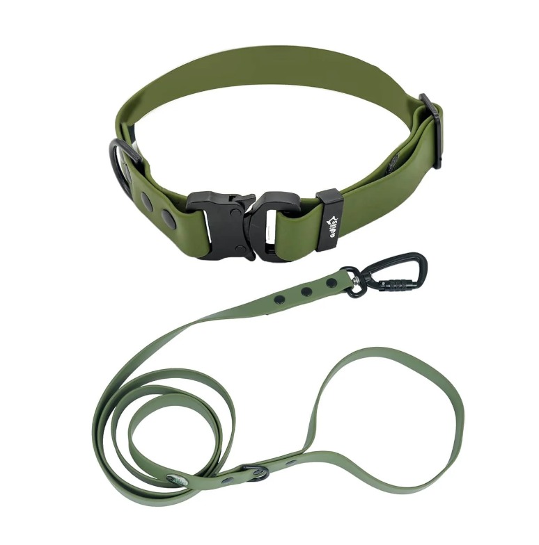 Premium Leather Dog Collar and Leash Set