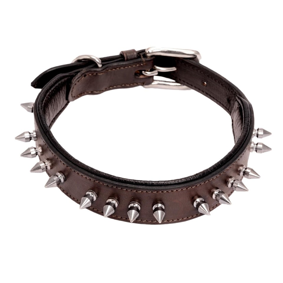 Spike Dog Collar for Enhanced Protection and Safety