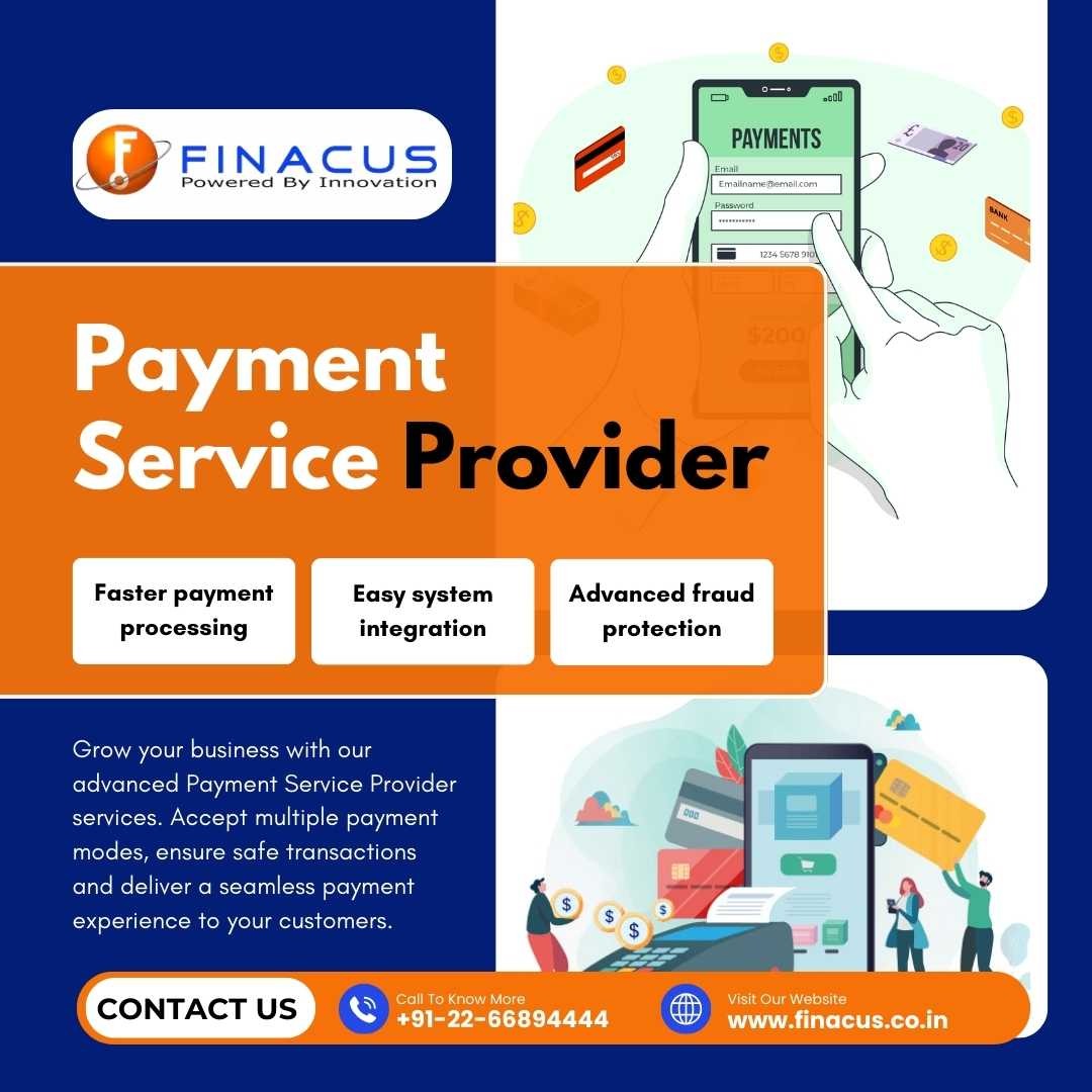 Payment Service Provider | AEPS Software Provider photo 1