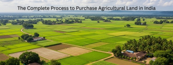 The Complete Process to Purchase Agricultural Land in India photo 1