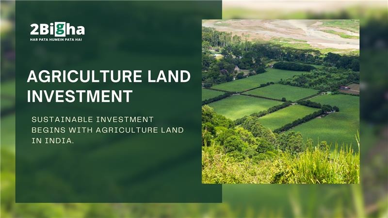 Agriculture Land Investment Opportunities with 2Bigha photo 1