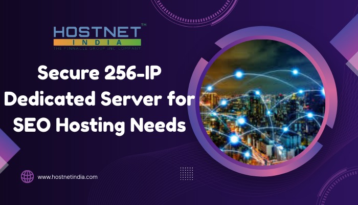 Secure 256-IP Dedicated Server for SEO Hosting Needs photo 1