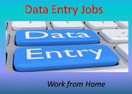 US  Form Filling Project for Typists 7708244092
