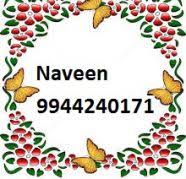 DTCP Approved Plots Sale at Gayathiri Nagar
in Papparambakka photo 1