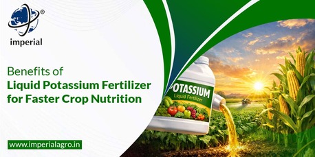 INR 01,  Precision Agriculture Fertilizers Distributor In Vadodara | Imperialagro