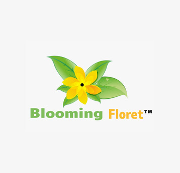 Best Planters For Indoor Plants For Your Home
