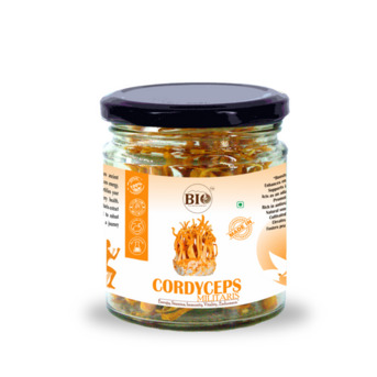 Premium Cordyceps Militaris Dried By The Bio Valley photo 1