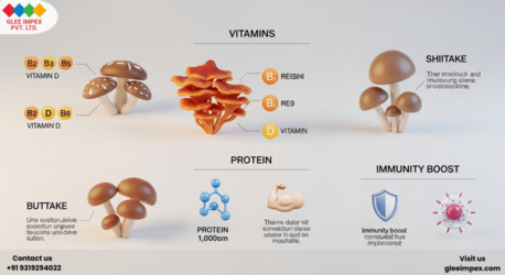 Trusted Mushroom Exporter In India – Glee Impex photo 1