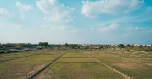 Residential Plots In Dholera Smart City With Planned Urban Infrastructure