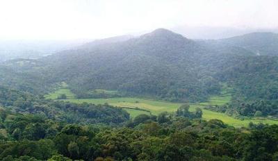 Coorg Real Estate photo 1