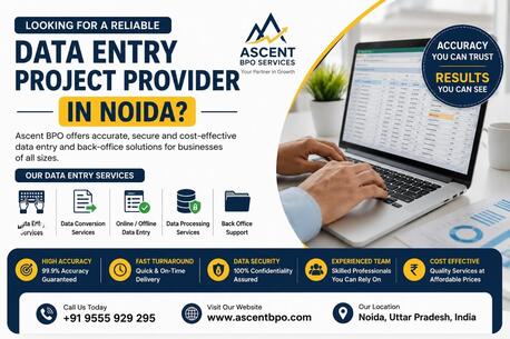 Data Entry Project Provider In Noida photo 1