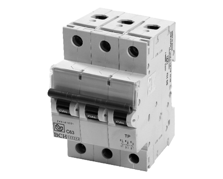 Trusted MCB Manufacturer  BCH Electric
India