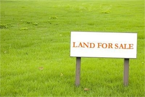 Premium Plots Available in Sector 75 Faridabad - Delhi photo 1