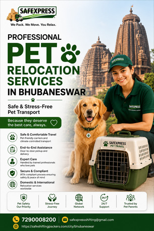 Professional Pet Relocation Services In Bhubaneswar