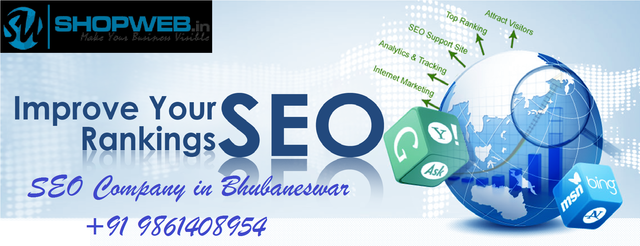 SEO Service in Bhubaneswar