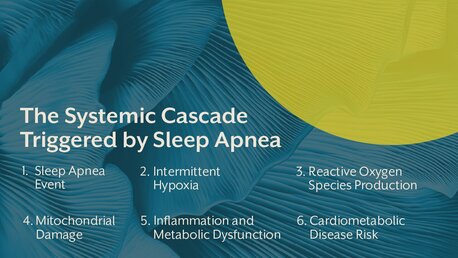 Sleep Apnea Nutrition Guide For Practitioners & Health Coaches