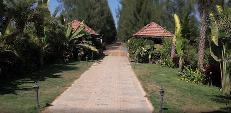 How Managed Sandalwood Farms Make It Easier To Buy Agricultural Land In Maharashtra