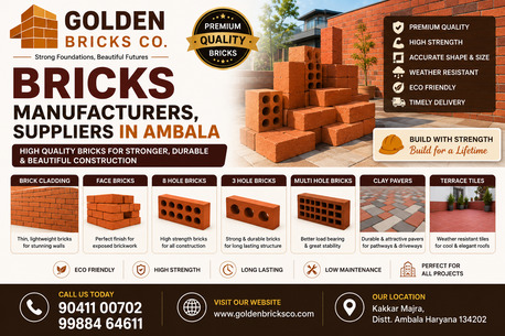 Premium Brick Cladding & Tile Manufacturer (Ambala, India)