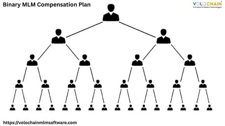 Scale Up With Binary MLM Compensation Plan Services photo 1