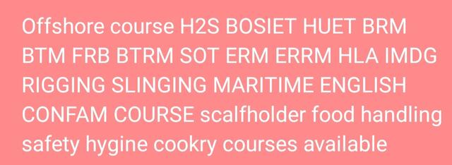 Fast Rescue Boat FRB FFLB training in Goa photo 1