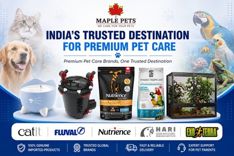 Premium Catit Smart Pet Supplies Online India | Maple Pet photo 1