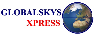 New Year Special parcel booking offer to
USA, & Europe* Coun