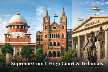Ace Supreme Court Advocate For Appeal & Litigation Representation