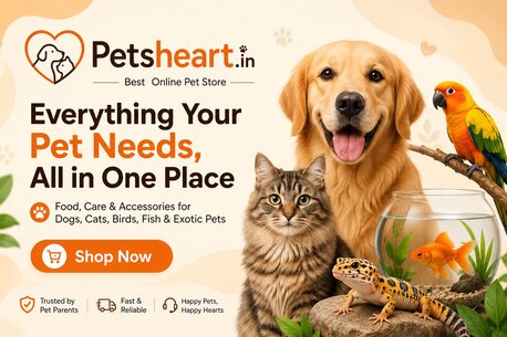 Premium Pet Food And Accessories Available Online - PetsHeart