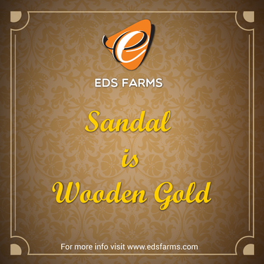 EDS Farms Private Limited in Arcot photo 1