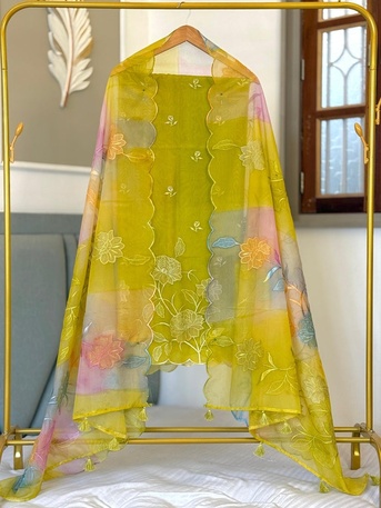 Exclusive Banarasi Organza Applique Work 3 Pc Salwar Suit photo 1