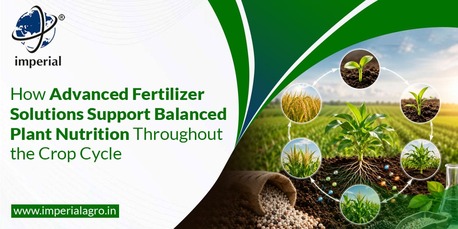INR 01,  Advanced Fertilizer Solutions Provider In Gujarat | Imperialagro