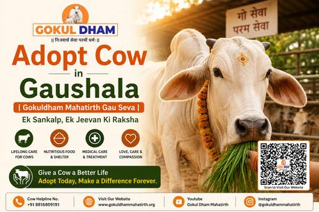 Looking For A Cow Shelter Near Me To Support Gau Seva?