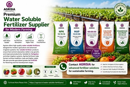 Premium Water Soluble Fertilizer Supplier For Modern Farming