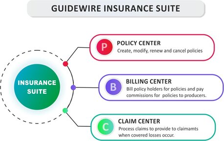 Guidewire Training