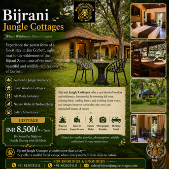 Jungle Safari In Jim Corbett | Stay Near Bijrani Zone photo 1