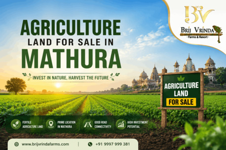 INR 1,  1250 Sq. Yard,  Agriculture Land For Sale In Mathura: A Smart Investment Opportunity For Farmers And Inves