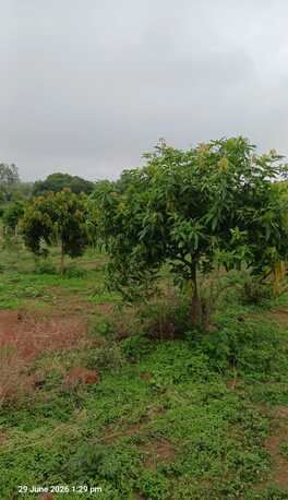 INR 6680000,  2904 Sq. Yard,  2904 Sq Yard Land For Sale At Shadnagar To Pargi 4Lane Highway 1 KM
