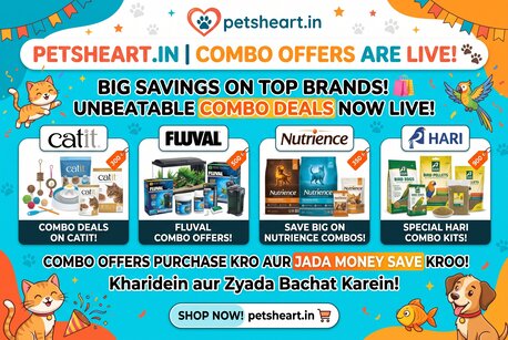 Big Discounts On Cat, Dog, Fish & Bird Products