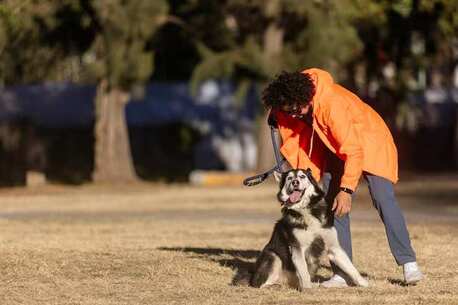 Dog Training Service In Nagpur