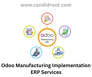Odoo Manufacturing Implementation ERP Services photo 1