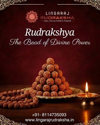 Original & Certified Rudraksha Shop In Berhampur I Lingaraj Rudraksha