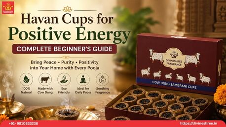INR 500,  Havan Cups For Positive Energy: Complete Beginner's Guide photo 1