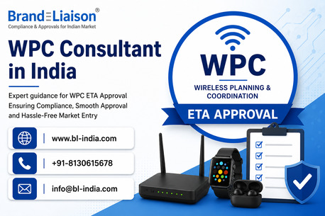 INR 1000,  Looking For A WPC Consultant In India? Contact Us Today