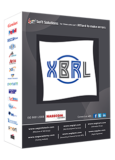 INR 10000,  Gen XBRL Software