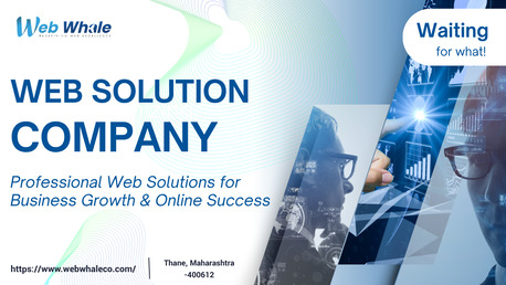Web Solution Company photo 1