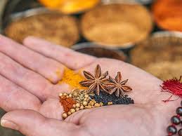 BAMS Admission 2026:Sanjeevani Ayurvedic Medical College Fees And Admission Procedure. photo 1