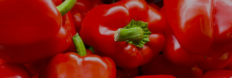 Premium Paprika Supplier In USA For Bulk And Commercial Spice Needs